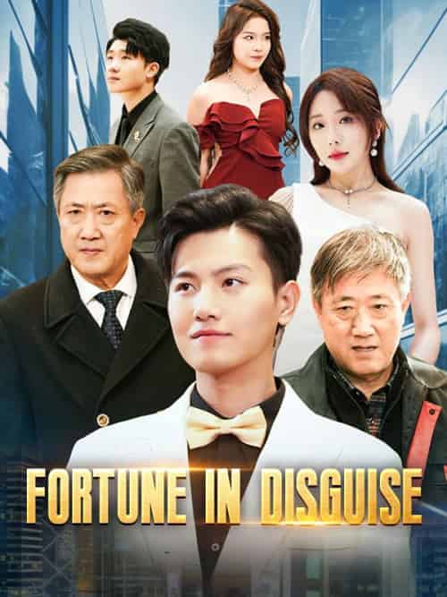 Fortune in Disguise（99集全）Louis＆Crawford - 海之城海外短剧