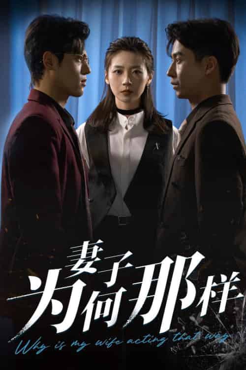 妻子为何那样（60集全）杜星瑶＆刘磊 - 海之城短剧