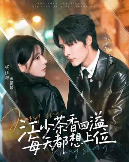 江少茶香四溢，每天都想上位（74集全）邹柯俊＆杨伊墨-海之城短剧项目
