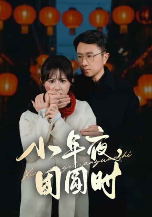 小年夜团圆时＆小年夜万家灯火没有我（35集全） - 海之城短剧