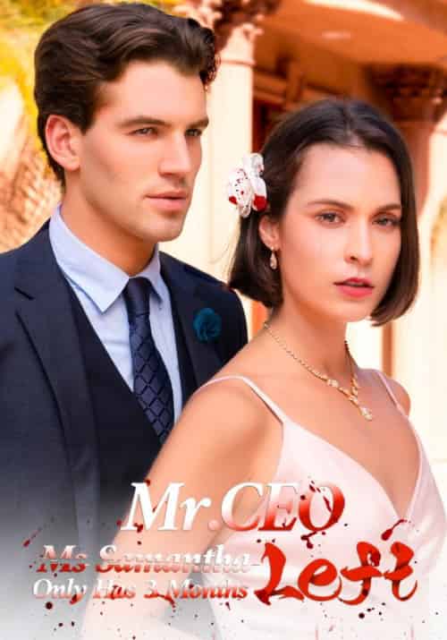 Mr. CEO, Ms. Samantha Only Has 3 Months Left Mr. CEO, Ms. Samantha Only Has 3 Months Left