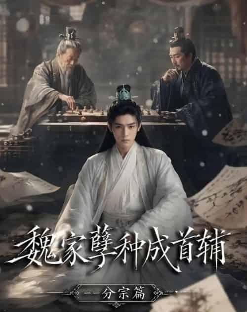 魏家孽种成首辅分宗篇（90集全）AI-海之城短剧项目