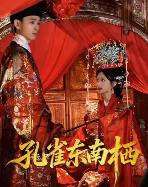 孔雀东南栖（35集全）陈世涵＆姚宏博-海之城短剧项目