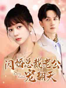闪婚总裁老公宠翻天（100集）陈政阳 - 海之城短剧