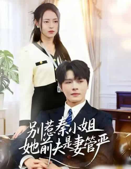 别惹秦小姐她前夫是妻管严（50集全）李彬航＆王思莹-海之城短剧项目