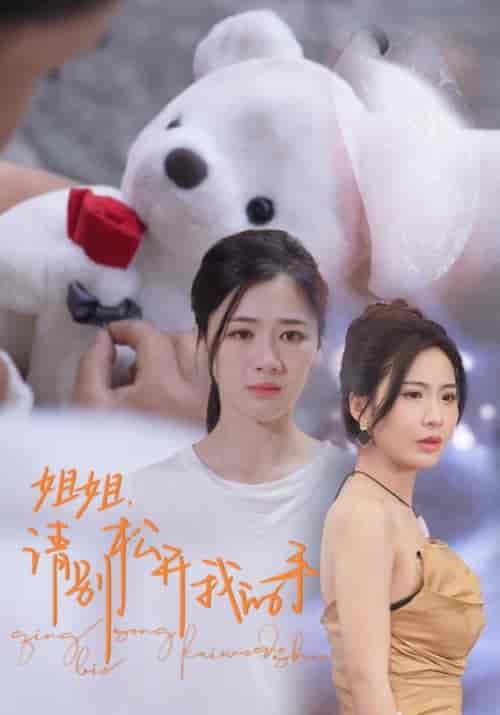 姐姐，请别松开我的手（69集）维尼 - 海之城短剧