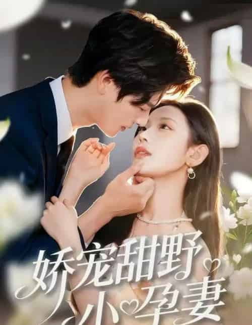 娇宠甜野小孕妻（82集全）李彬航＆孙懿飞-海之城短剧项目