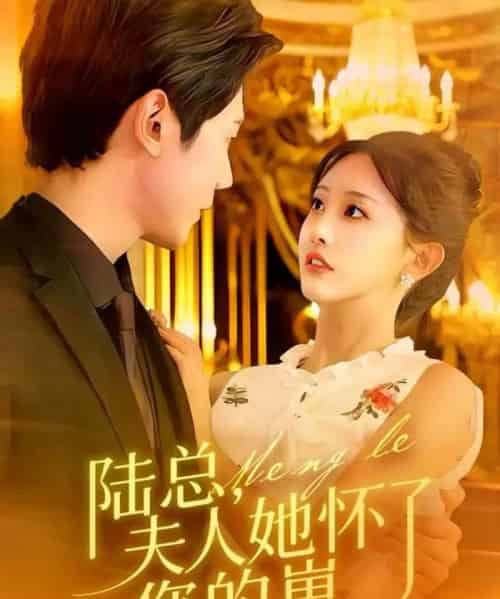 陆总，夫人她怀了您的崽（89集全）何连飞＆李艾笑-海之城短剧项目