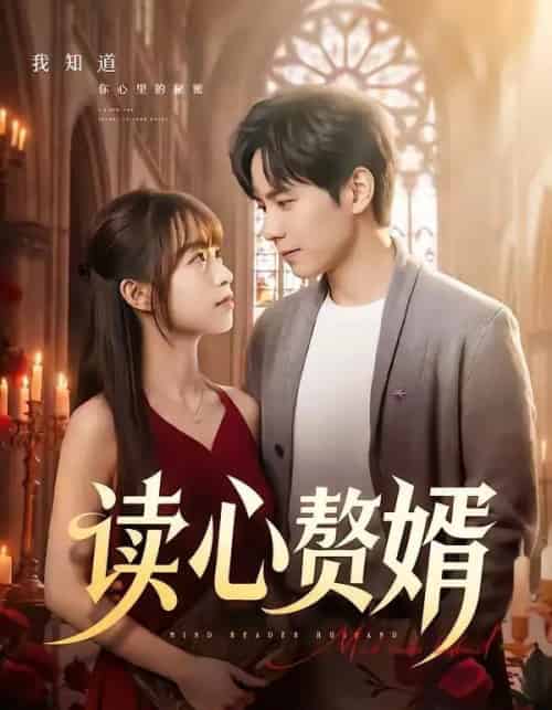 读心赘婿（78集全）晓凡＆赵琦-海之城短剧项目