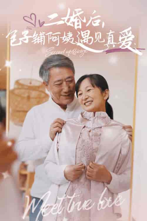 二婚后包子铺阿姨遇见真爱（41集全） - 海之城短剧