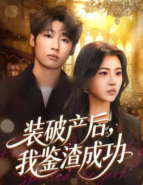 装破产后，我鉴渣成功（61集全）金星颖＆武童林-海之城短剧项目