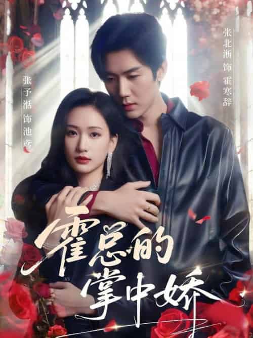 霍总的掌中娇（80集全）张北淅＆张予湉 - 海之城短剧