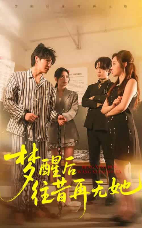 梦醒后往昔再无她（84集全）李彬航＆周恬羽-海之城短剧项目