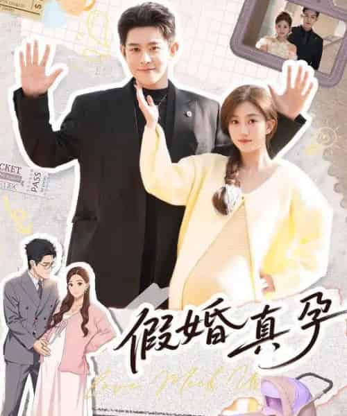 假婚真孕（70集全）-海之城短剧项目