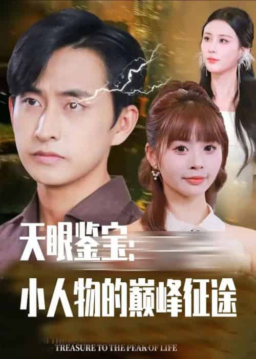 天眼鉴宝小人物的巅峰征途（80集全）潘家锜＆洪沛鸿-海之城短剧项目