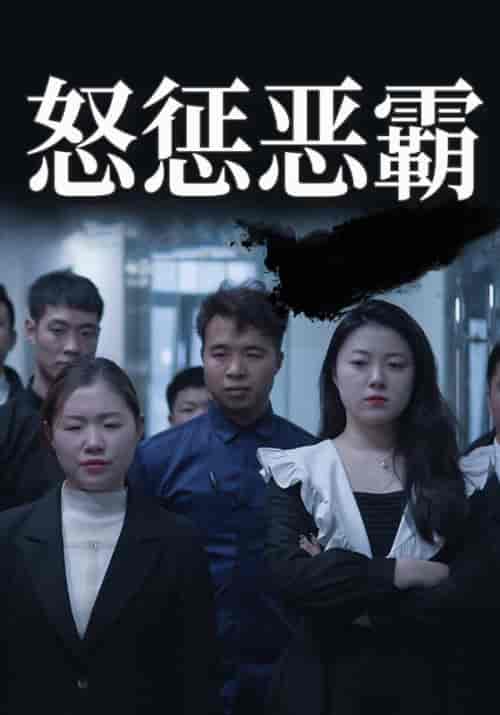 怒惩恶霸（58集全）文哥＆董事长 - 海之城短剧