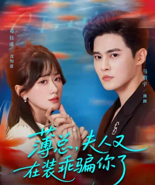 薄总，夫人又在装乖骗你了（80集全）马明宇＆苟钰浠-海之城短剧项目