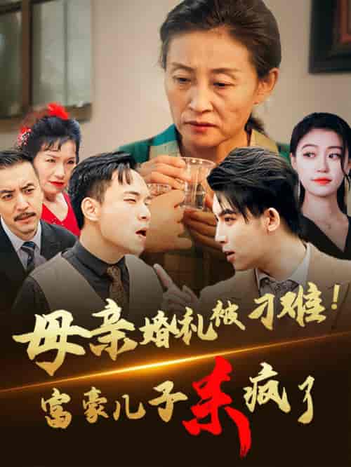 母亲婚礼被刁难首富儿子杀疯了（33集全） - 海之城短剧