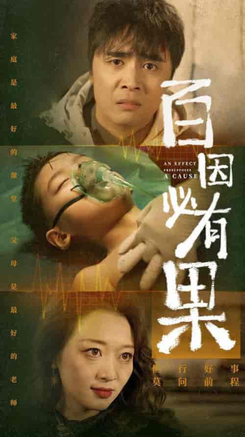 百因必有果（50集全） - 海之城短剧