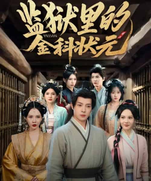 监狱里的金科状元＆隐忍三年出狱后我名动京都（72集全）史宣洪＆倪瑜坤-海之城短剧项目