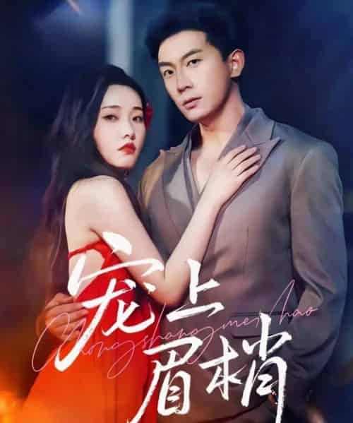 宠上眉梢（51集全）宋名申＆田睿思-海之城短剧项目