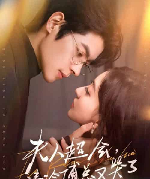 夫人超会，清冷傅总又哭了（77集全）董一＆修雨秀-海之城短剧项目