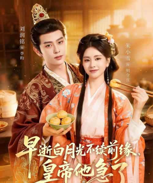早逝白月光不续前缘，皇帝他急了（68集全）朱小雪＆刘润铭-海之城短剧项目