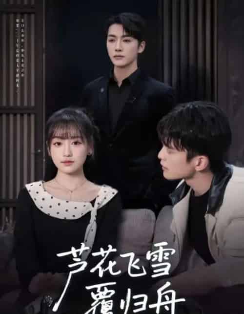 芦花飞雪覆归舟（77集全）李咏靖＆武伯言-海之城短剧项目