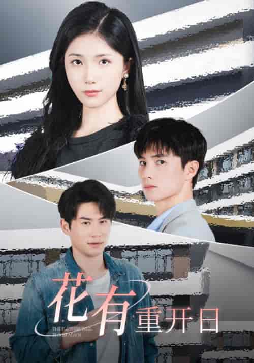 花有重开日（41集全）张继＆徐慧琳 - 海之城短剧