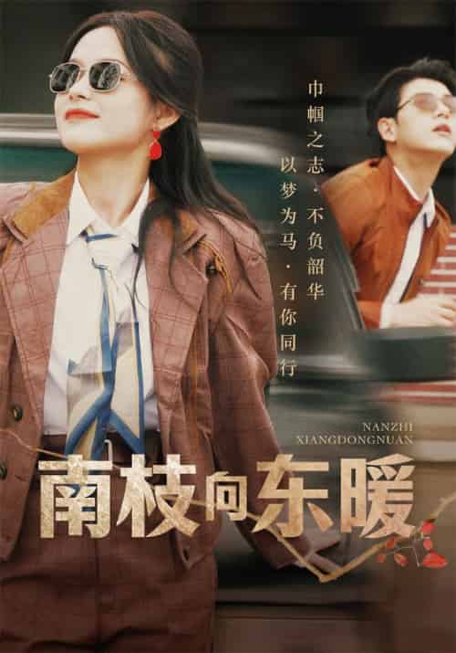 南枝向东暖（78集全）陆向东＆宋南枝 - 海之城短剧