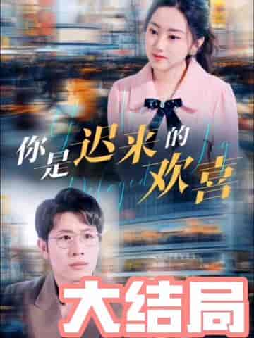 你是迟来的欢喜（93集） - 海之城短剧