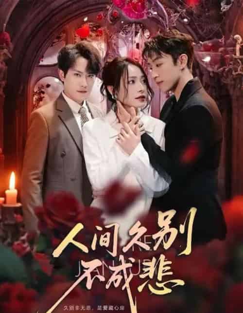 人间久别不成悲（80集全）李曾＆张耀玮-海之城短剧项目