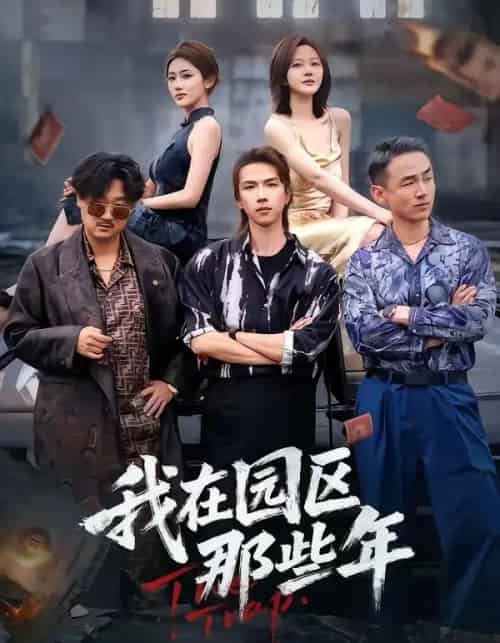 我在园区那些年（61集全）王振宇＆汪芷萱-海之城短剧项目