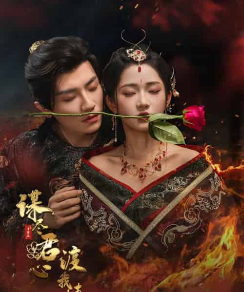 谋尽君心渡我情（50集）安子杨＆汪海敏-海之城短剧项目