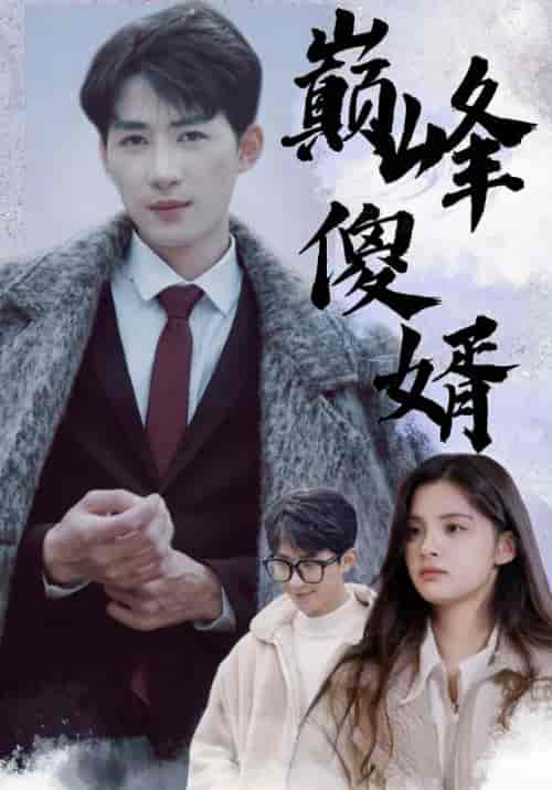 巅峰傻婿（100集全）秦朗＆楚月心 - 海之城短剧