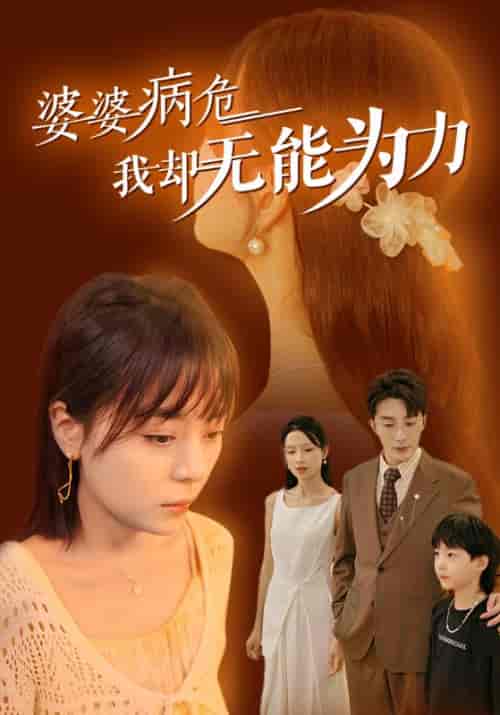 婆婆病危我却无能为力（30集全） - 海之城短剧
