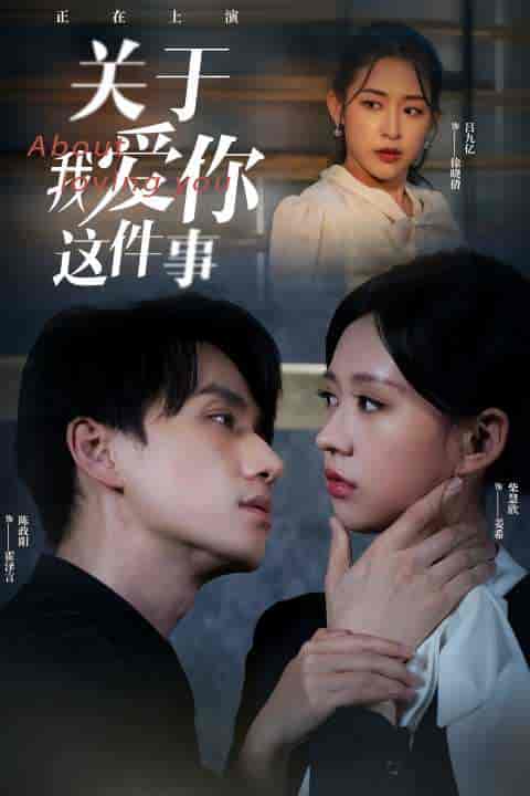 关于我爱你这件事（83集）陈政阳＆柴慧欣 - 海之城短剧