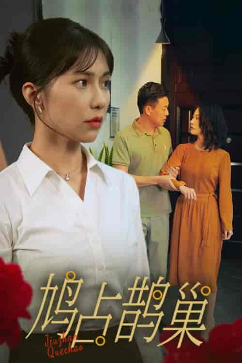 鸠占鹊巢（45集全） - 海之城短剧