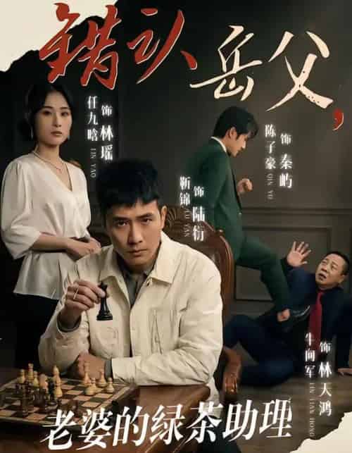 错认岳父，老婆的绿茶助理重拳出击（40集全）靳锦＆任九晗-海之城短剧项目