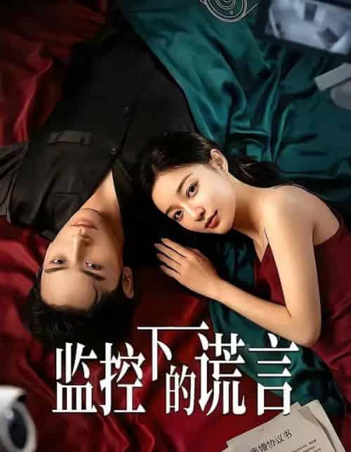 监控下的谎言（50集全）AI-海之城短剧项目