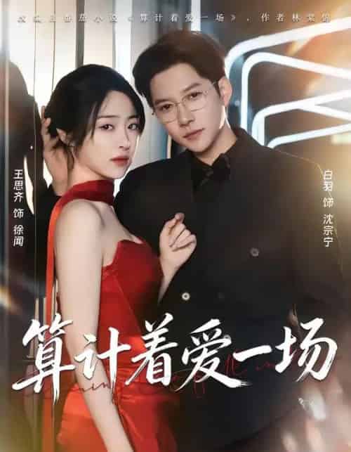 算计着爱一场（81集全）白羽＆王思齐-海之城短剧项目