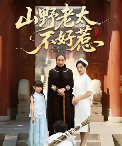 山野老太不好惹＆奶奶一脚震全城（64集全）徐绍航-海之城短剧项目