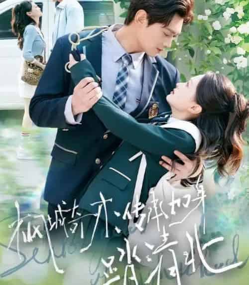 枫城奇才：传承加身踏清北（80集全）俞玟霞＆杨紫皓-海之城短剧项目