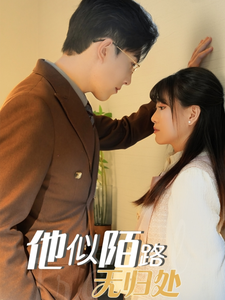 他似陌路无归处（30集全）赵宏伟＆胡雪艺 - 海之城短剧