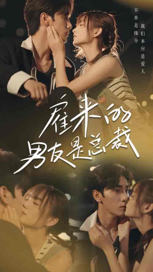 雇来的男友是总裁（50集全） - 海之城短剧