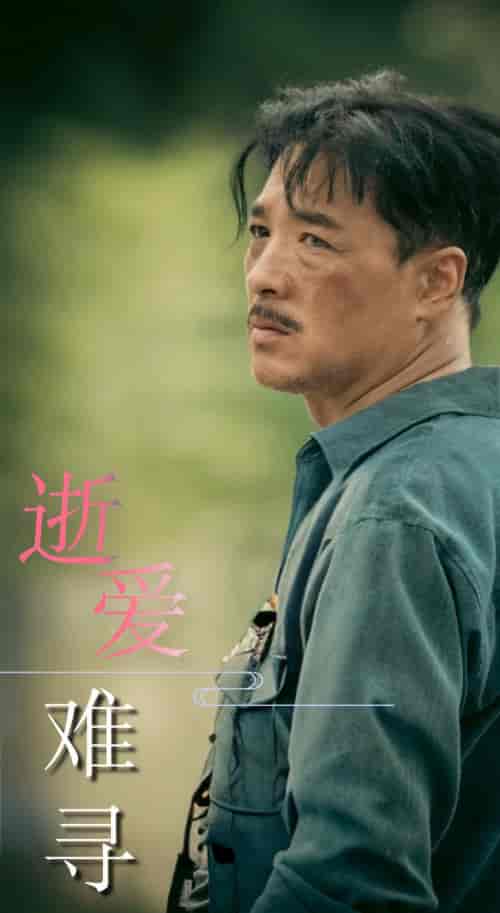 逝爱难寻（76集全） - 海之城短剧