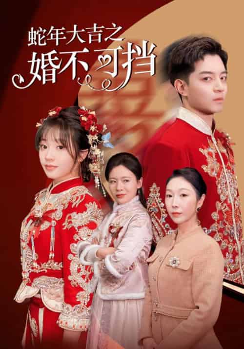 蛇年大吉之婚不可挡（50集） - 海之城短剧