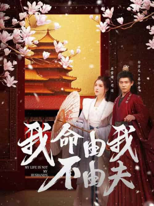 我命由我不由夫（75集全）白方文＆石雪婧 - 海之城短剧