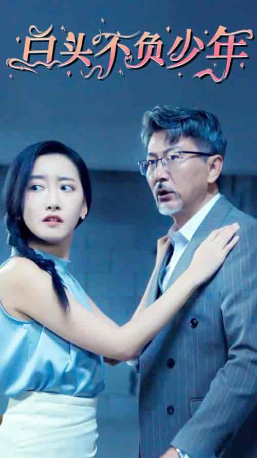 白头不负少年（60集全） - 海之城短剧