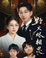 野火烬相思（61集全）戴睿 - 海之城短剧